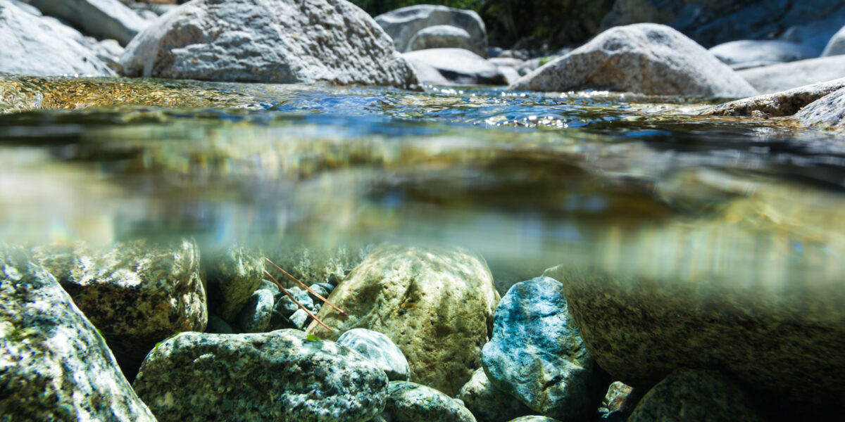 A split-level view of a clear stream shows smooth rocks underwater in the foreground and large boulders along the shore in the background, with green trees and sunlight filtering through.
