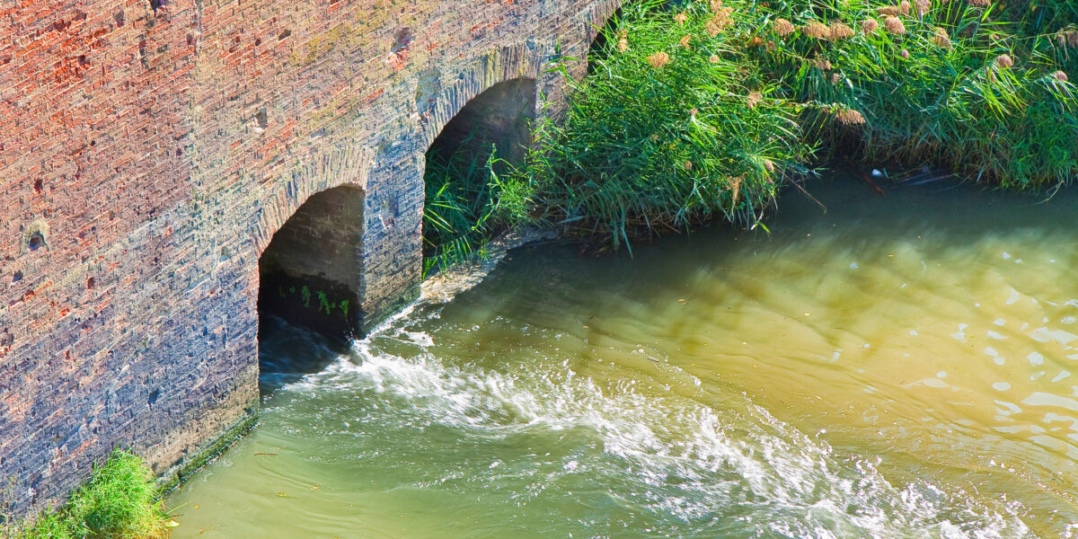 Two arched openings in an old brick wall allow water to flow from a building into a river or canal. Green plants grow at the water’s edge, and sunlight reflects on the surface.