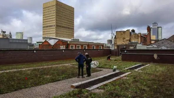 Three people stand and work on a rooftop garden with sparse greenery, surrounded by brick walls and city buildings under a cloudy sky. A tall, rectangular building rises in the background.