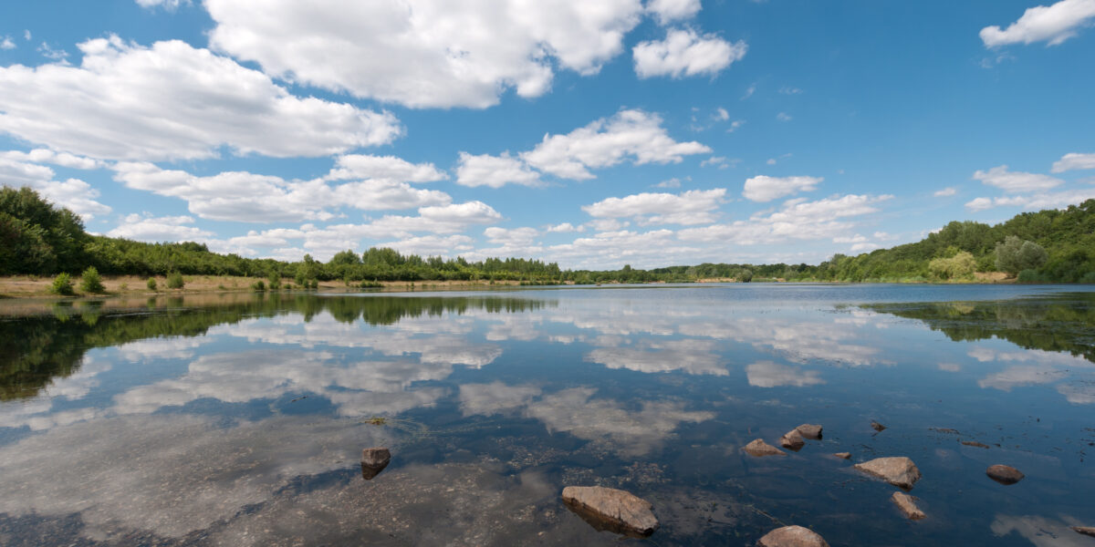A calm lake reflects a blue sky with fluffy white clouds, surrounded by green trees and grassy banks, with a few rocks visible in the shallow water near the shore.