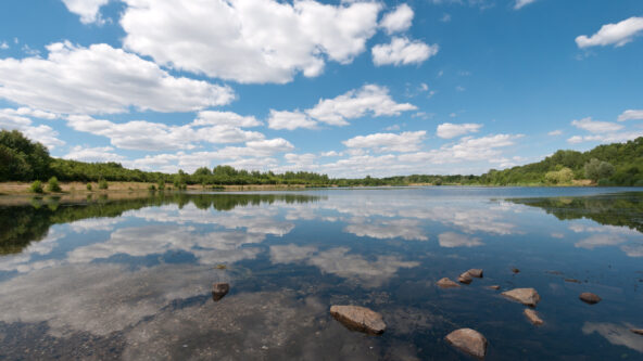 A calm lake reflects a blue sky with fluffy white clouds, surrounded by green trees and grassy banks, with a few rocks visible in the shallow water near the shore.