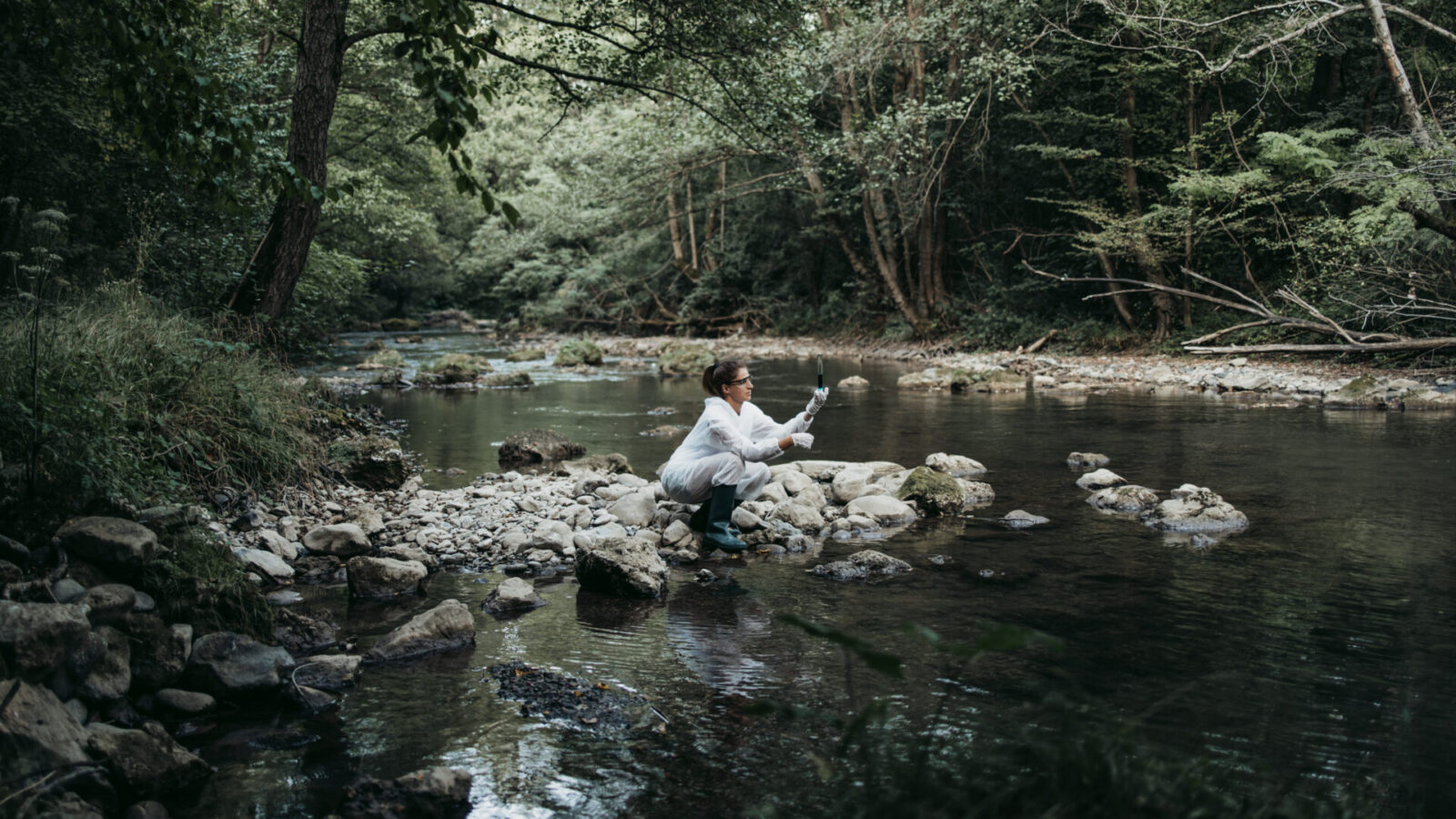 A person in a white coat squats on rocks by a shallow, forested river, holding a container close to the water, possibly collecting a sample. Dense green trees and vegetation surround the calm scene.